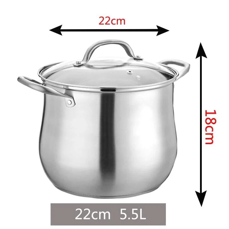 Stainless Steel Cooking Pot With Glass Lid 5.5L
