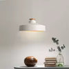 Nordic Retro Industrial Single Head Pendant Light